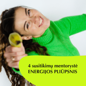 Individualios mentorystės sesijos